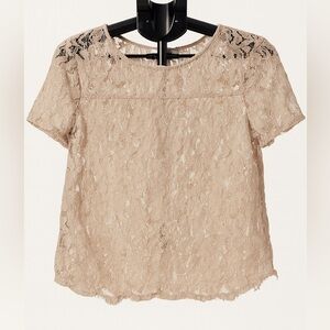 Ann Taylor LOFT Lace Short Sleeve Blouse Women’s Size Small EUC